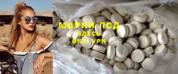 крисы Баксан