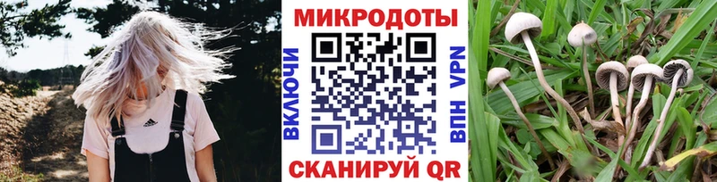 Псилоцибиновые грибы ЛСД  Касли 